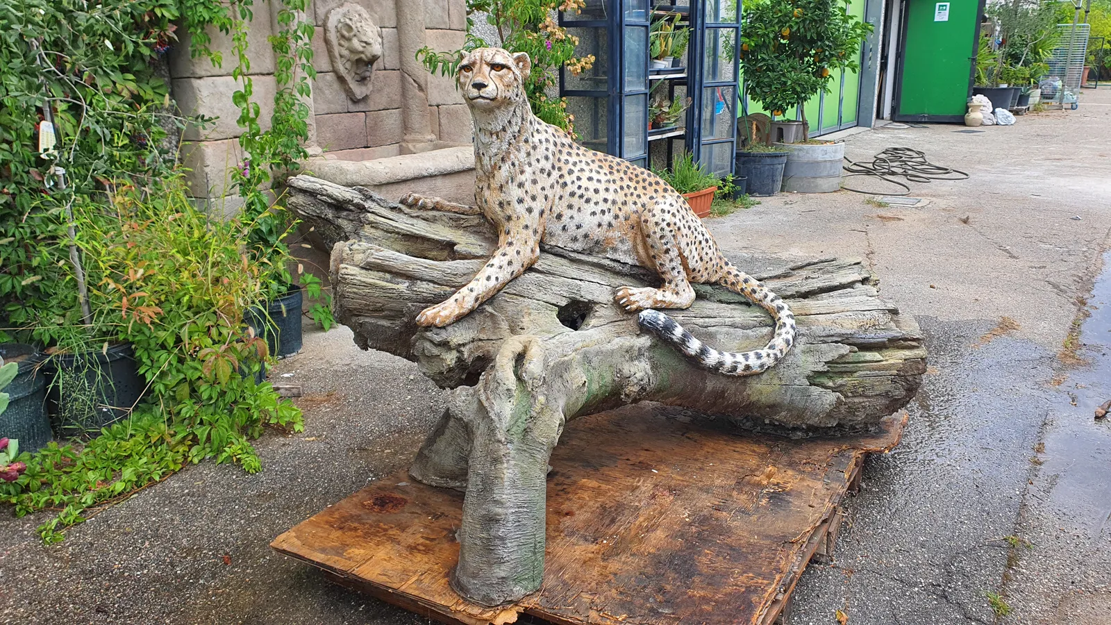 Opposite-side view of the concrete cheetah showing its painted spots, curled tail and artificial trunk.