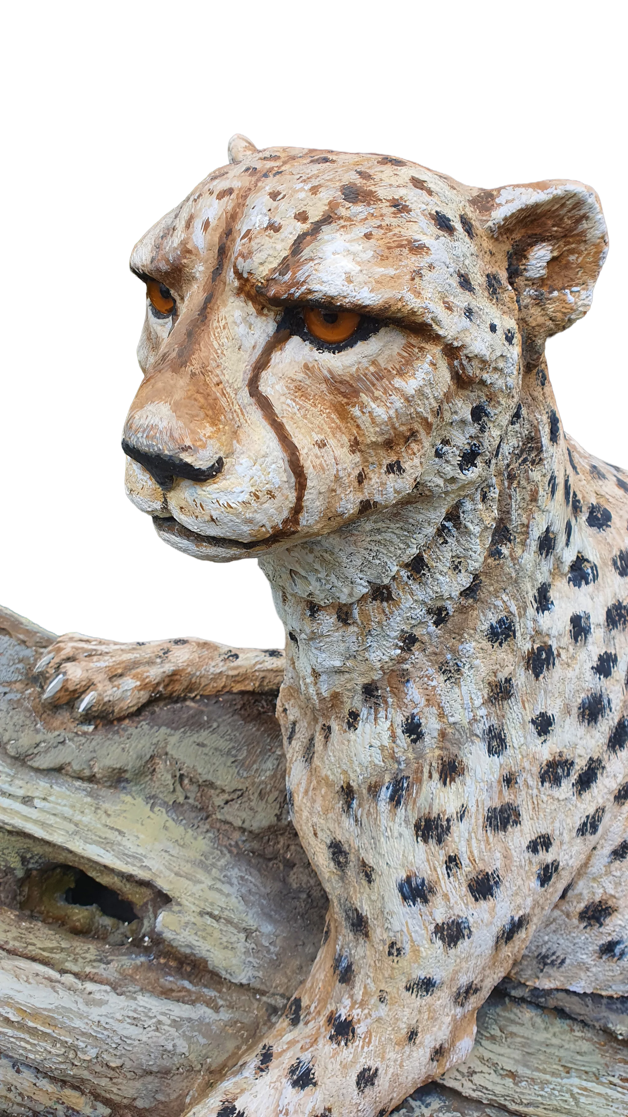 Close view of the cheetah face, amber eyes, painted markings, and concrete texture.
