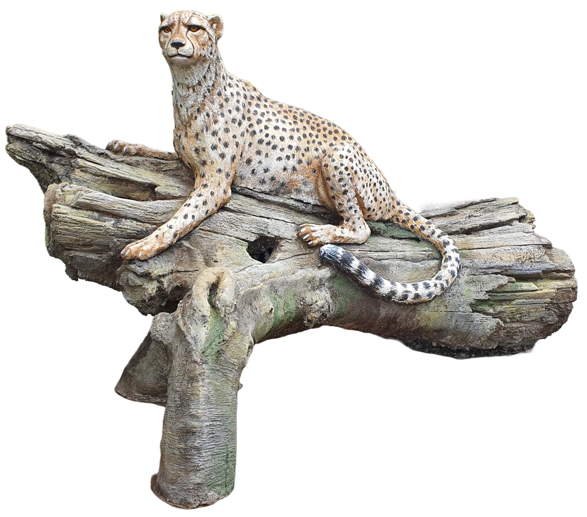 Concrete cheetah poised along a long artificial fallen trunk.