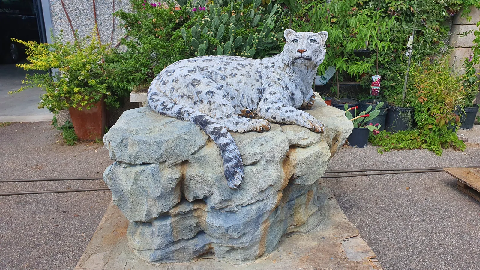 Centered view of the hand-shaped concrete snow leopard reclining across the complete artificial rock base.